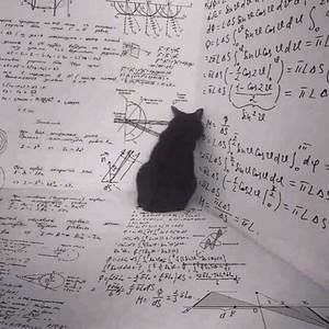 Meet your Posher, Autumn